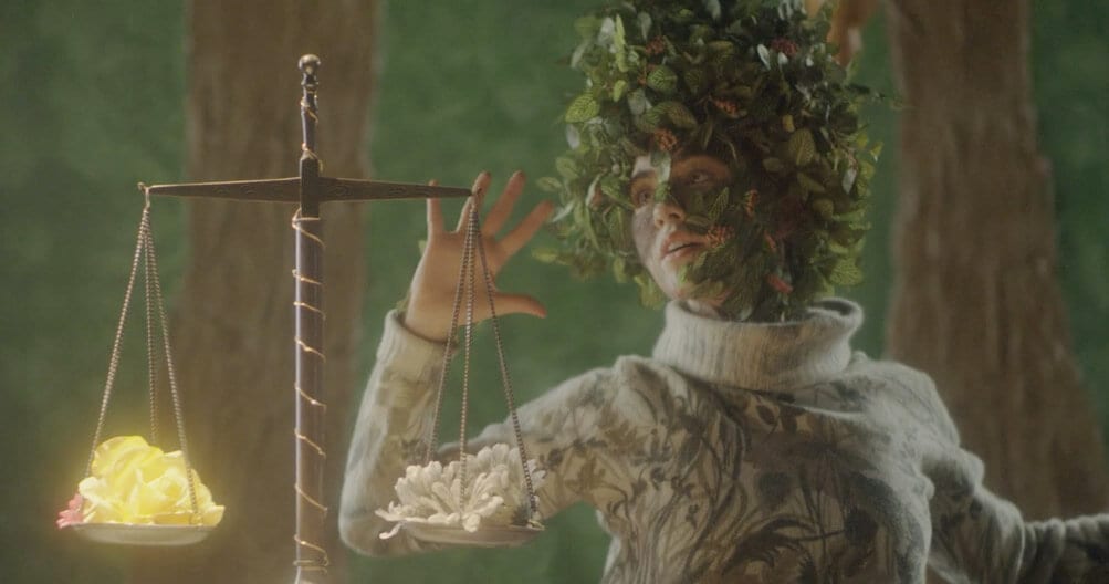 ‘Bonsai’ Offers A Way Of Coping With Loss…