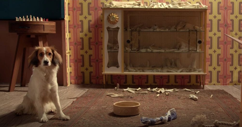 Bone: A Tell-All With A Drug Runner Dog
