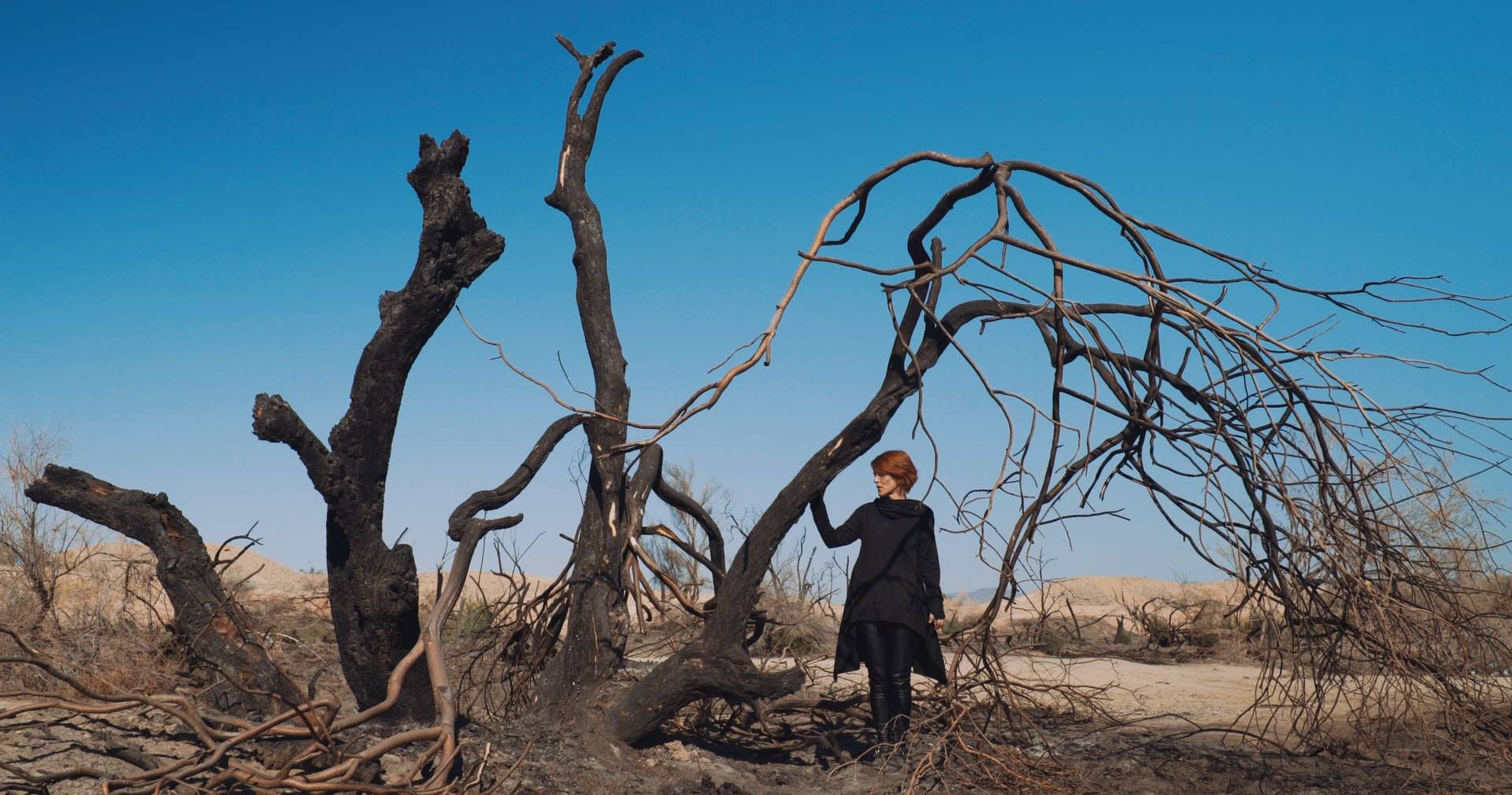 Death Is The Place On Earth: A Contemplation On Humanity